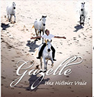 brochure Gazelle - Jean-François Pignon
